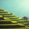 Chitwan: Rural Health & Indigenous Communities